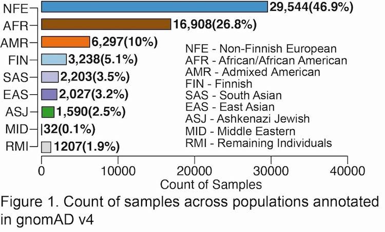Figure 1. Count of samples across genetic ancestry groups annotated in gnomAD