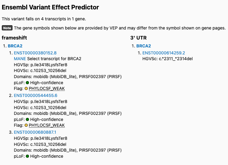 Screenshot of variant 13-32398763-ATATC-A Ensembl VEP consequences in gnomAD v4